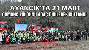 Ayancık'ta 21 Mart Dünya Ormancılık Günü Fidan Dikim Etkinliği ile Kutlandı