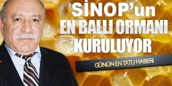 SİNOP TA BAL ORMANI KURULUYOR