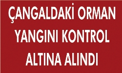 Orman yangını kontrol altına alındı