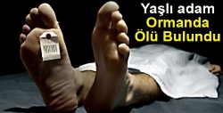ORMANDA ÖLÜ OLARAK BULUNDU