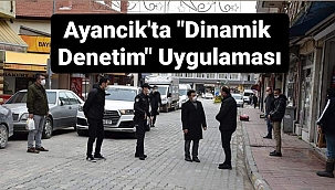 Ayancık'ta "Dinamik Denetim" uygulaması