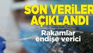 Sinop için vaka sayılarındaki son veriler açıklandı