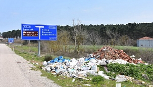 Sinop'ta yeşil alanlarda çevre katliamı!
