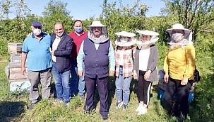 Arıcılık eğitiminde ilk ders Sinop'ta verildi