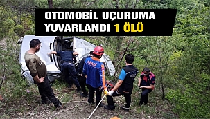 Otomobil uçuruma yuvarlandı: 1 ölü