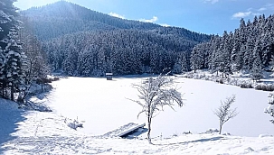 Akgöl buz tuttu! Kartpostallık görüntüler oluşturdu