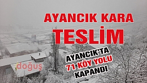 Ayancık'ta 71 köy yolu kar nedeniyle kapandı