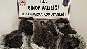 Ayancık'ta kablo hırsızlığı operasyonu: 3 gözaltı