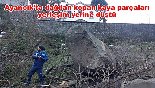 Dağdan kopan kaya parçaları yerleşim yerine düştü