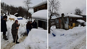 Ayancık'ta video çekip yardım isteyen aileye yetkililer ulaştı