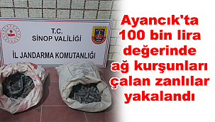 Ayancık'ta 100 bin lira değerinde ağ kurşunları çaldılar
