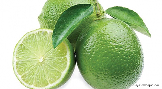 Antioksidan Kaynağı Lime. Dalından satın alın!