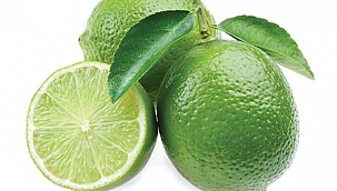Antioksidan Kaynağı Lime. Dalından satın alın!