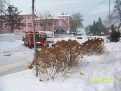 Ayancık karlar altında