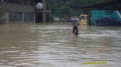 TÜRKELİ SELE TESLİM