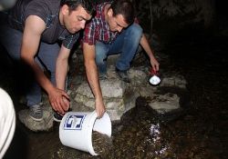 İlçemiz, Kepez Deresi 20 Bin Alabalıkla Buluştu