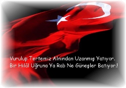 Bir Şehitte Sinop’tan