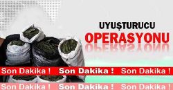 Jandarma 3 Kişiyi Gözaltına Aldı