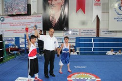 MİNİK BOKSÖRLER SİNOP TA BULUŞTU