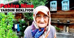 Erfelekli Pakize Nine Yardım Bekliyor