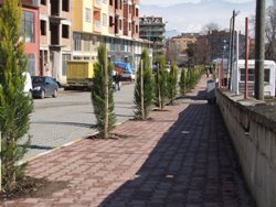 Ayancık\ ta seferberlik sürüyor