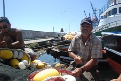 BALIKÇILARDAN PALAMUTTA 38 SANTİM TEPKİSİ