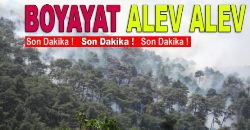 BOYABAT\ TA KORKUTAN YANGIN