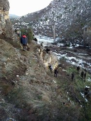 DEFİNE AVCILARI PATLAYICI MADDEYLE YAKALANDI 