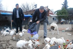 TAVŞANLARA YİYECEK YARDIMI