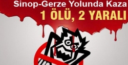 TRAFİK KAZASI 1 ÖLÜ 2 YARALI