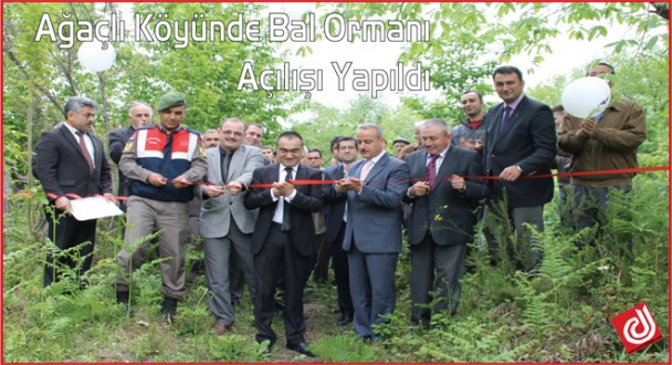 Ağaçlı Köyü Kestane Balı Üretim Ormanı Açılışı Yapıldı