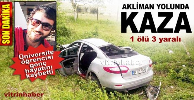 Akliman'da feci kaza; 1 ölü 3 yaralı