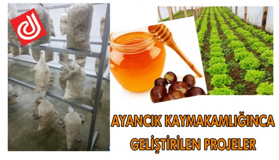 AYANCIK KAYMAKAMLIĞINCA GELİŞTİRİLEN PROJELER