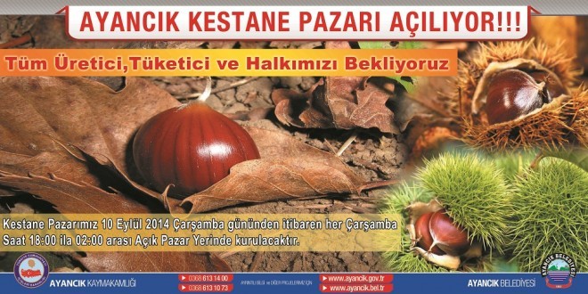 Ayancık Kestane Pazarı Açılıyor
