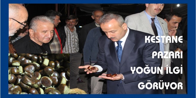 AYANCIK KESTANE PAZARI YOĞUN İLGİ GÖRÜYOR