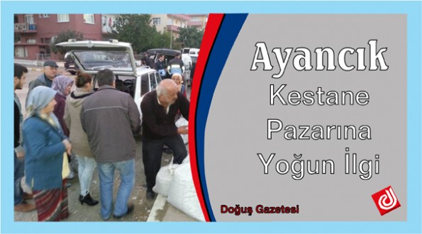 AYANCIK KESTANE PAZARINA YOĞUN İLGİ