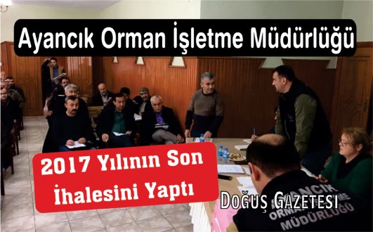 Ayancık Orman İşletme Müdürlüğü 2017 Yılının Son İhalesini Yaptı