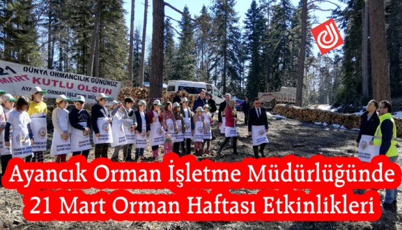 Ayancık Orman İşletme Müdürlüğünde 21 Mart Orman Haftası Etkinlikleri