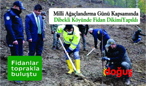 Ayancık'ta "Geleceğe Nefes" için fidanlar toprakla buluştu.