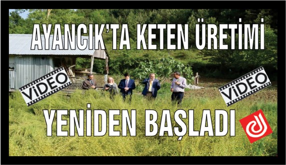 AYANCIKTA KETEN ÜRETİMİ 24 YIL ARADAN SONRA YENİDEN BAŞLADI