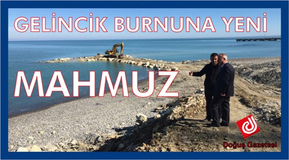 Ayancık'ta Mahmuz Çalışmaları 