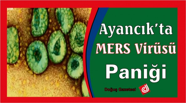 Ayancık'ta Mers virüsü paniği
