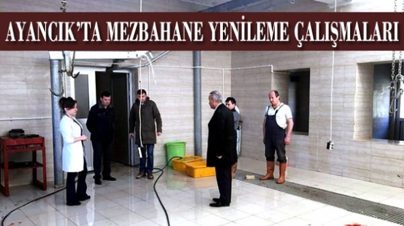 Ayancık'ta mezbahane yenileme çalışmaları sürüyor