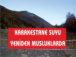 KARAKESTANE TEKRAR ÇEŞMELERDE