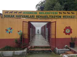 Hayvanlar Artık Daha Sağlıklı