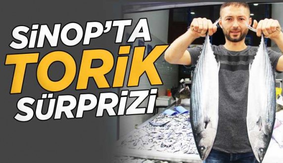 Balıkçılara torik sürprizi