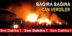 BAÐIRA BAÐIRA CAN VERDİLER
