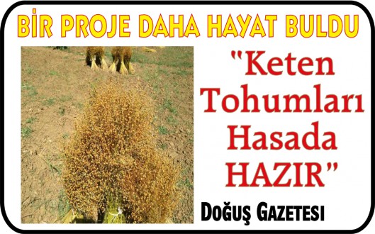 BİR PROJE DAHA HAYAT BULDU
