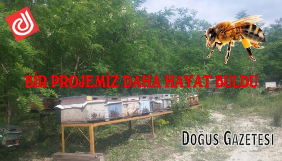 BİR PROJEMİZ DAHA HAYAT BULDU