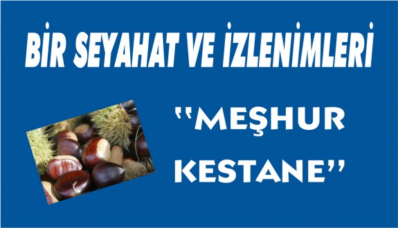 BİR SEYAHAT VE İZLENİMLERİ (MEŞHUR KESTANE)